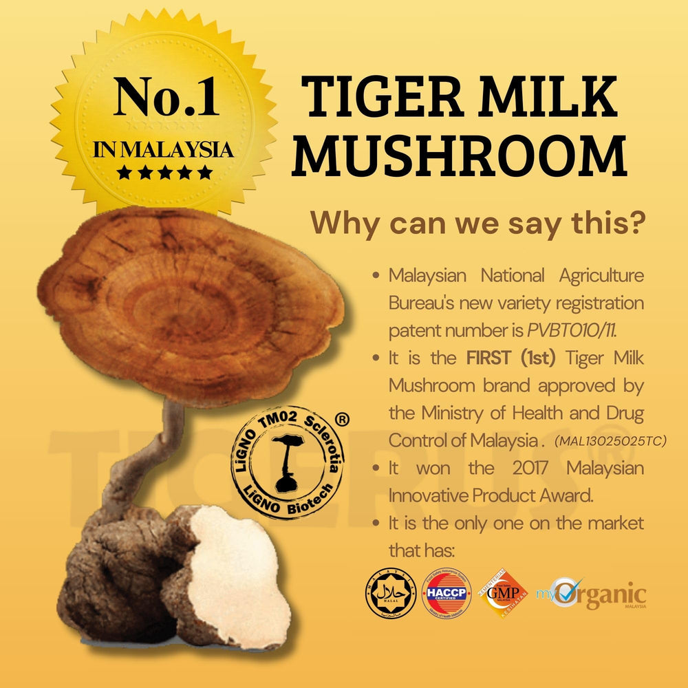 Tigerus Tiger Milk Mushroom quality seal reflects ISO, GMP, HACCP adherence.