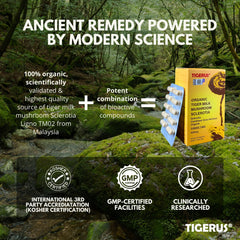 Tigerus Tiger Milk Mushroom sclerotia powder closeup highlights raw plant content.