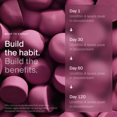 Timeline Mitopure Gummies dosage scene with two gummies for daily intake