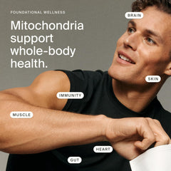 Nutrition panel on Timeline Mitopure box highlights clean ingredients and third-party testing.