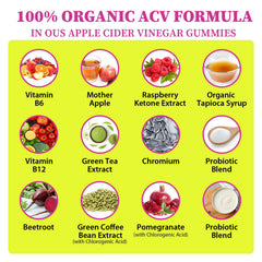 Tisestence ACV gummies probiotic strains illustration for digestive balance.
