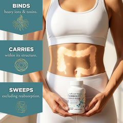 TODICAMP Zeolite Detox packaging shot emphasizing premium formulation.