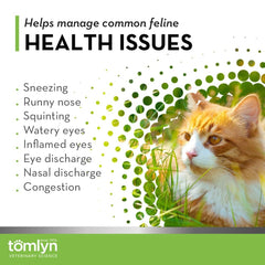 Tomlyn 3-pack packaging shown for steady immune support routine