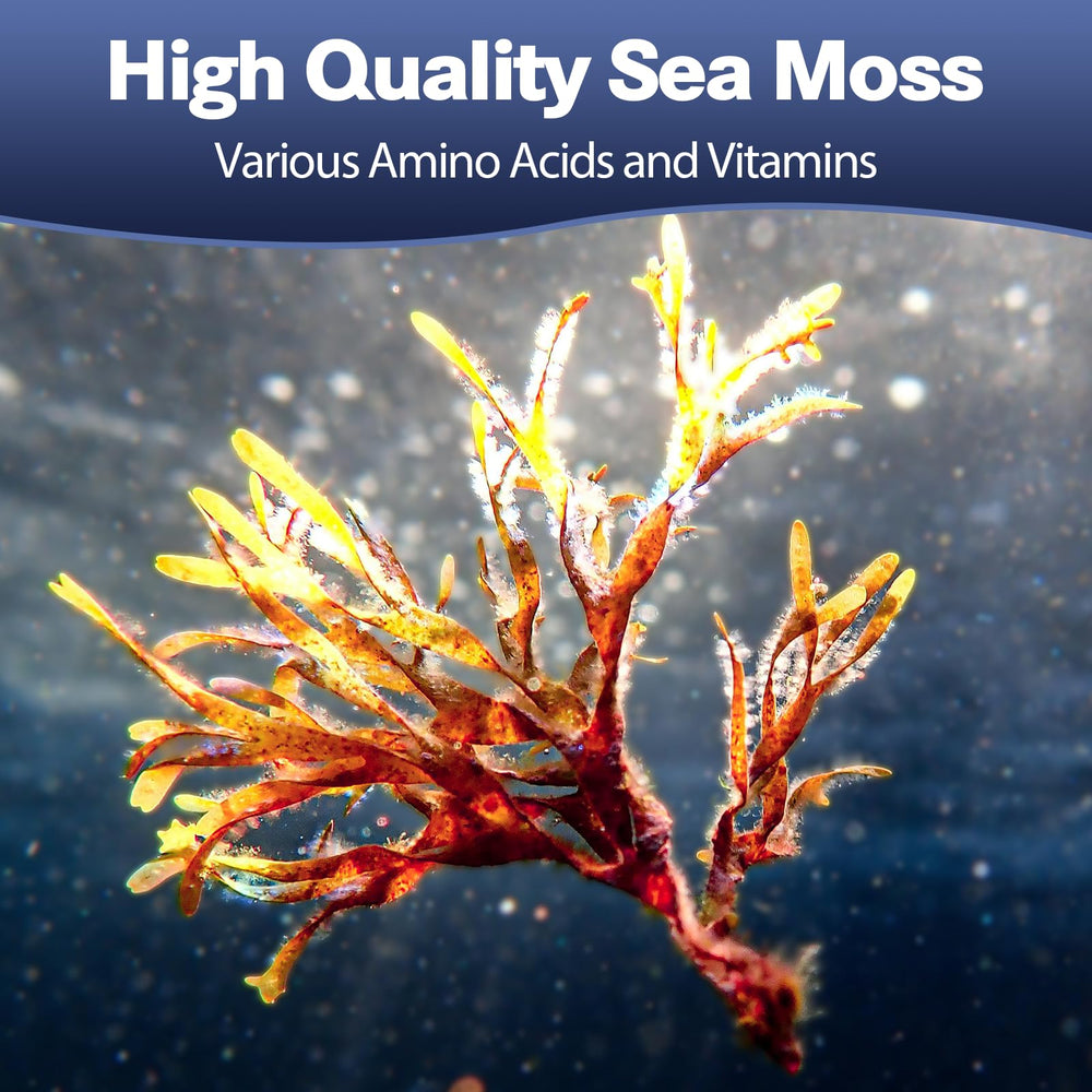 Totaria 25-in-1 sea moss capsules pour, easy daily dosing.