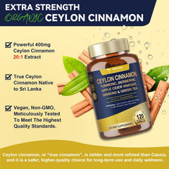Totaria digestive support capsules featuring berberine and vinegar for comfortable digestion.
