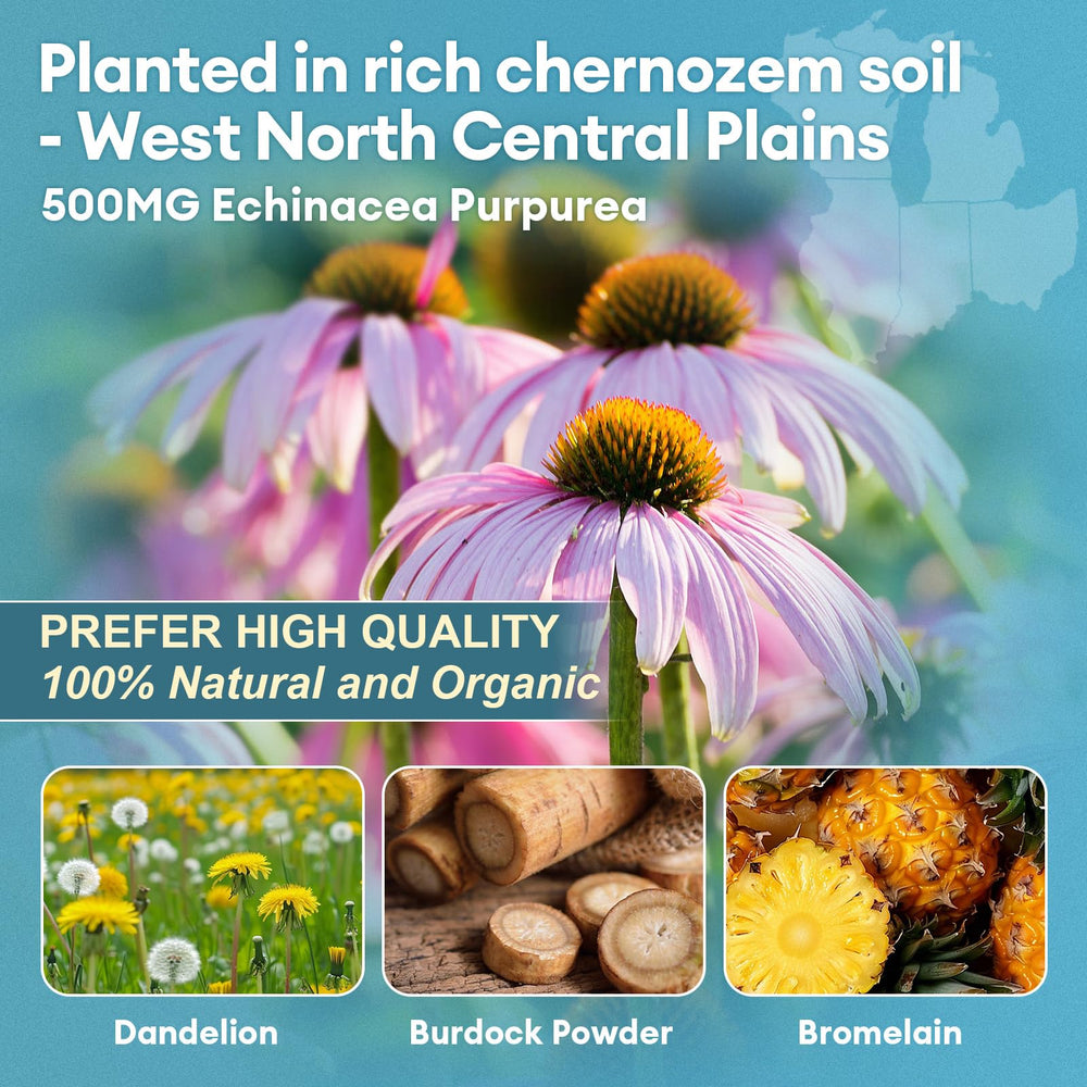 Totaria ingredients echinacea, dandelion, burdock showcase natural cleansing herbs.