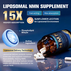Totaria NMN capsules ready for daily dosing and convenience.