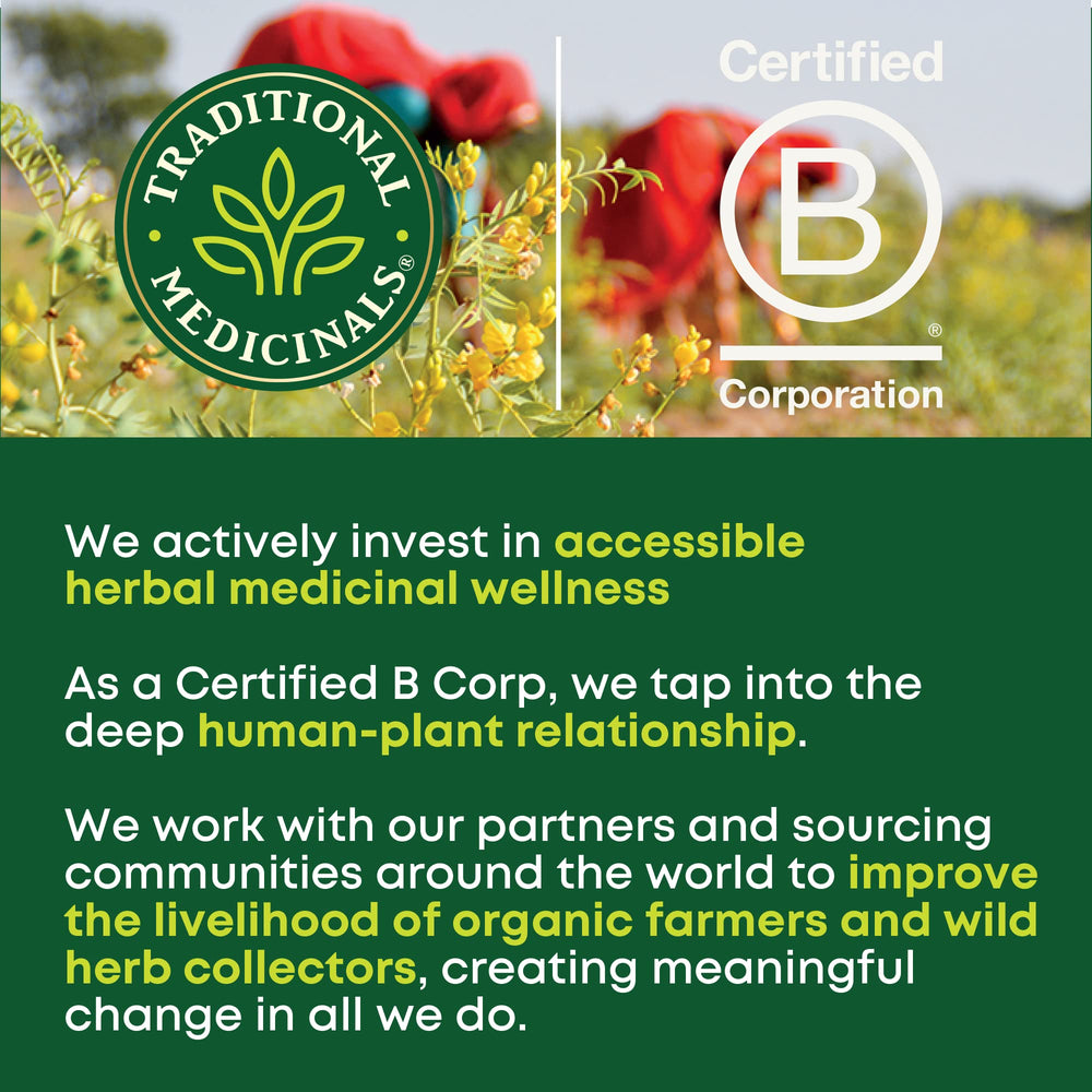 Traditional Medicinals compostable tea bags support eco-friendly tea rituals.