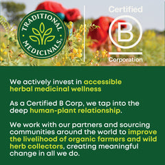 Traditional Medicinals compostable tea bags support eco-friendly tea rituals.