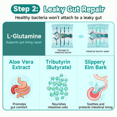Trawecual 30-in-1 formula conveys comprehensive gut health support