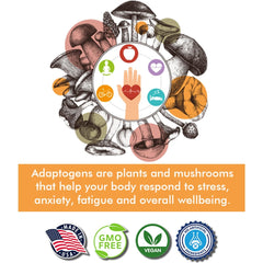 Tree of Life Botanicals Immunity Mushroom Complex beside healthy foods illustrating digestive support