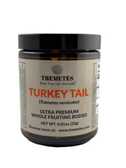 Tremetes Turkey Tail fruiting body in amber jar ready for daily tea infusion
