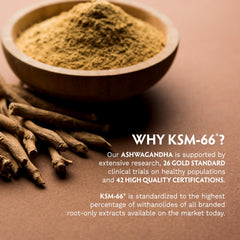 TRIBE ORGANICS Ashwagandha KSM-66 root powder concept art evokes Ayurveda