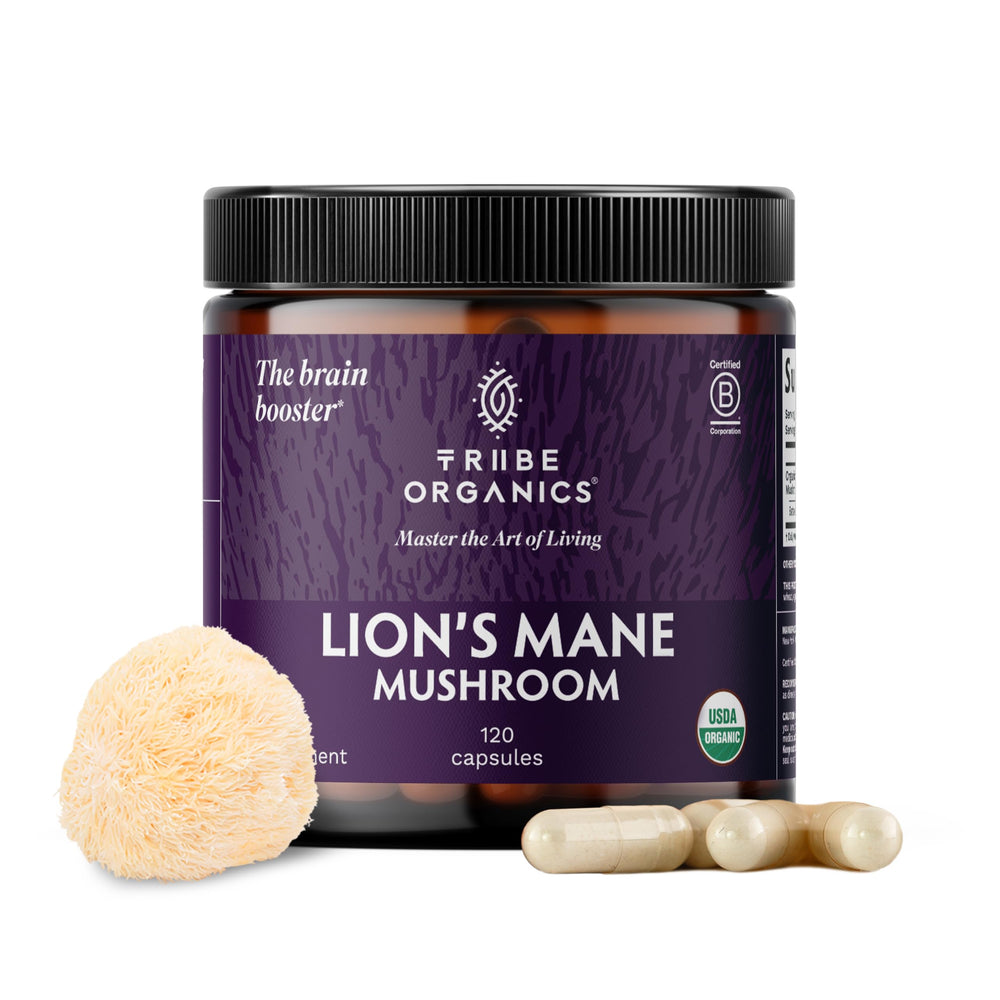 TRIBE ORGANICS Lion’s Mane bottle for daily focus and mental clarity.