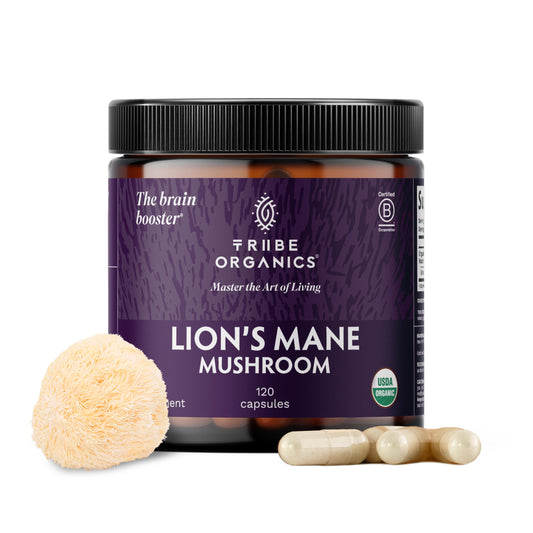 TRIBE ORGANICS Lion’s Mane bottle for daily focus and mental clarity.