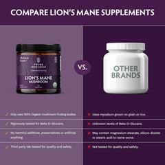 TRIBE ORGANICS Lion’s Mane organic fruiting bodies image emphasizing pure extract.