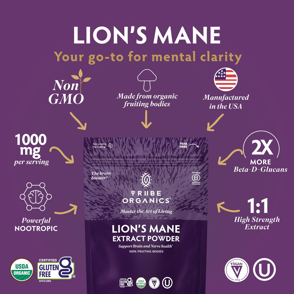 TRIBE ORGANICS Lion's Mane Powder scoop shows convenient 100 g serving.