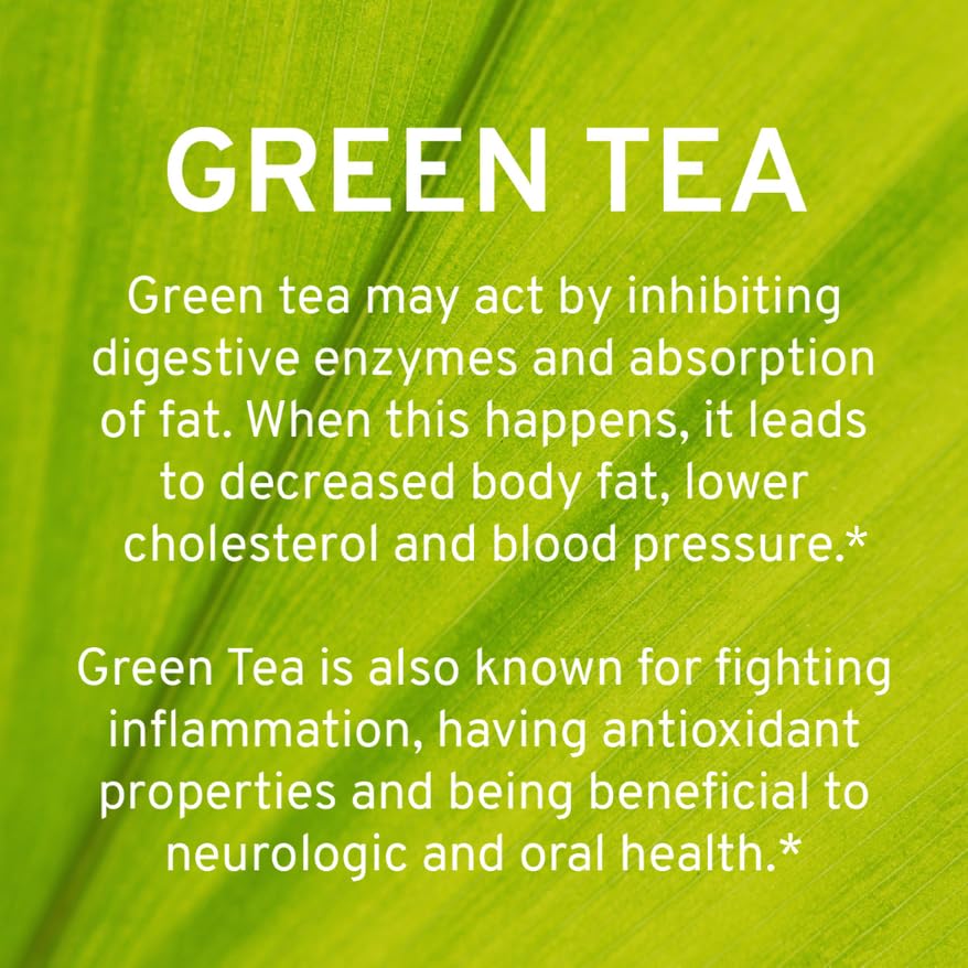 TRIO NUTRITION delayed-release capsules closeup show smooth digestion support.