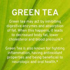 TRIO NUTRITION delayed-release capsules closeup show smooth digestion support.