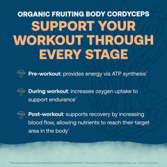 Zero sugar label on ElectroMag sachet emphasizes a sugar-free hydration option.