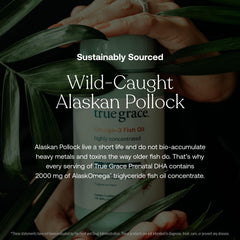 Wild-caught Alaskan pollock DHA used for prenatal support