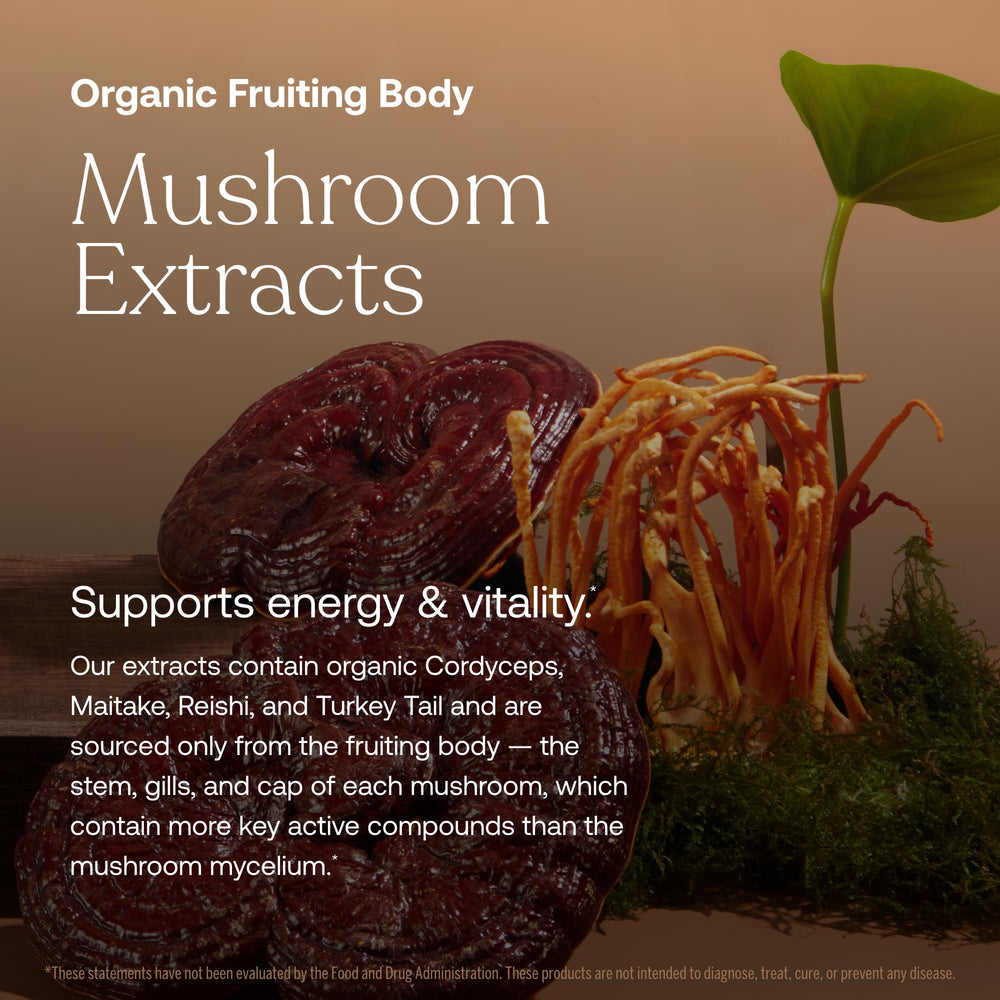 True Grace Probiotic and B vitamins label highlights energy-supporting nutrients.