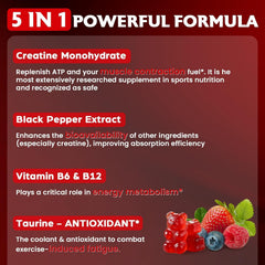 Trupretty Creatine Monohydrate Gummies GMP facility seal and batch testing