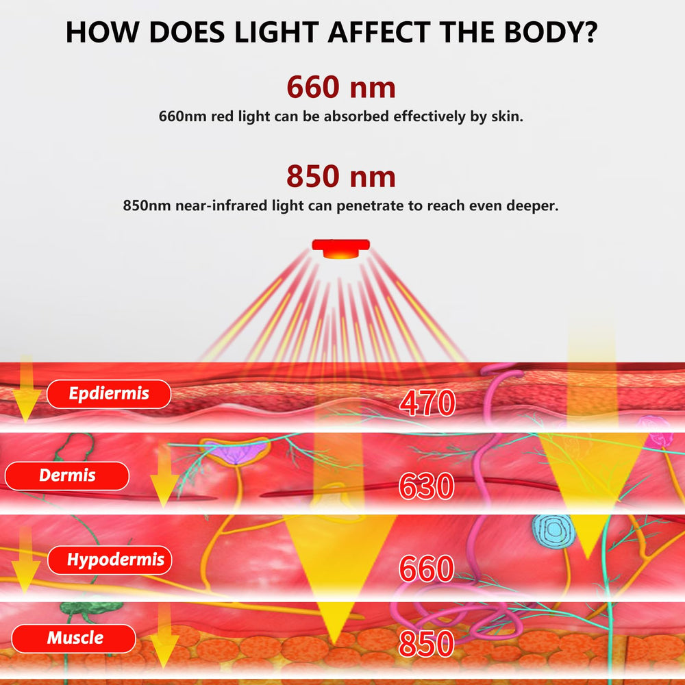 TUOYR red and infrared lights provide dual-wavelength options