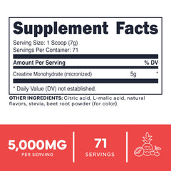 Type Zero Creatine Tropical Punch scoop ready to measure a serving
