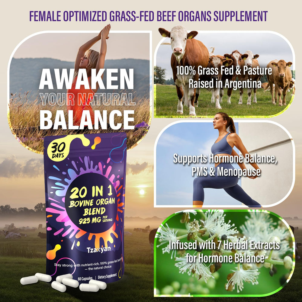 tzaxyan women uterus ovary beef organ image illustrating targeted support for reproductive health