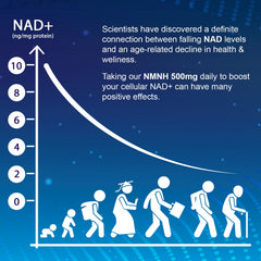 Lab-tested Ucessuyy NMNH capsules indicating purity and potency.