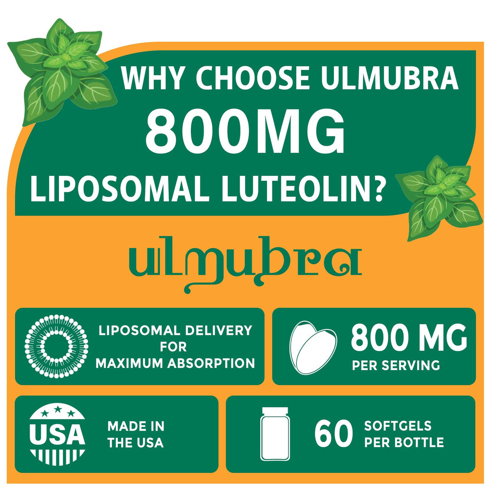 Ulmubra 800MG capsules close-up shows easy-to-swallow design for convenient daily use.