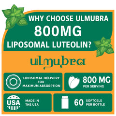Ulmubra 800MG capsules close-up shows easy-to-swallow design for convenient daily use.