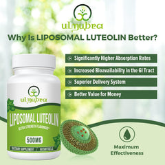 Close-up of Ulmubra liposomal luteolin softgels for easy swallowing.