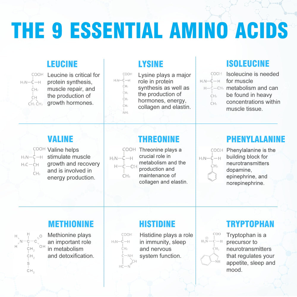 Gym bag scene featuring Ultimate Essential Amino Acids powder for on-the-go recovery