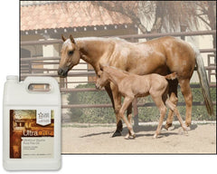 UltraCruz Equine Pure Flax Oil poured into horse feed.
