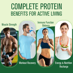 Ultraverixian plant protein sources panel outlines pea, rice, pumpkin, chia, flax.