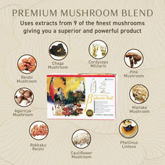 Umeken cordyceps militaris powder image suggests active daily support
