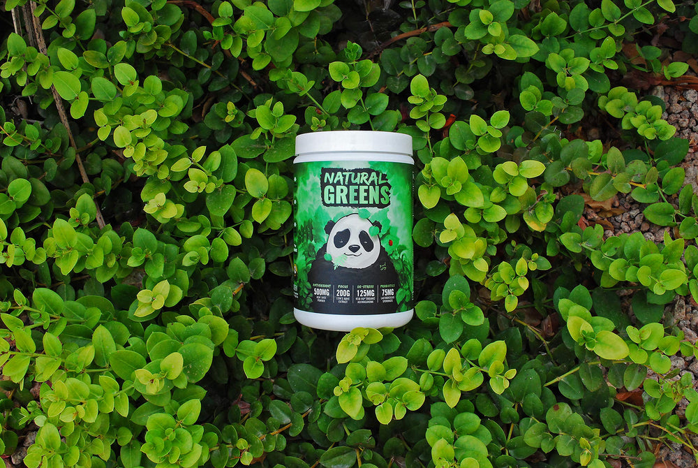 Underground Bio Labs Panda Supps immune-energy blend bottle hints daily vitality and immune-friendly nutrition.