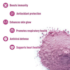 UNLEASH'D ORGANIC elderberry powder berries closeup with vibrant color
