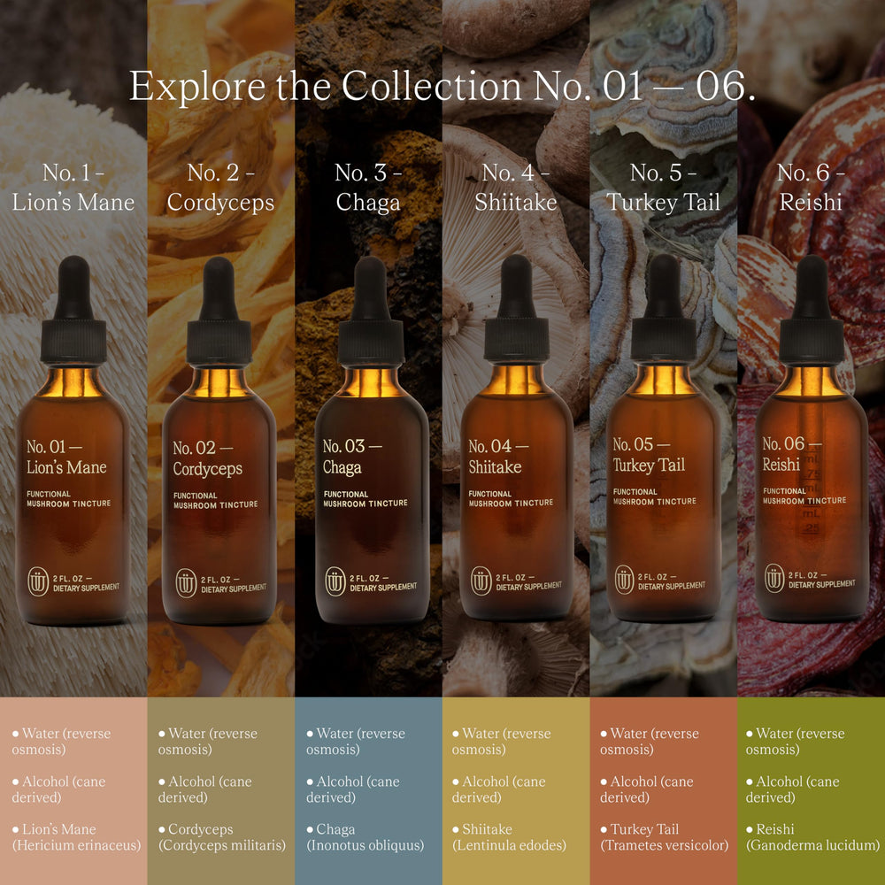 UPHORIC URTH Mushroom infusion recipes card illustrates easy wellness ideas.