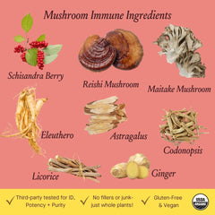 Urban Moonshine Mushroom Immune ingredients chart featuring maitake and codonopsis.