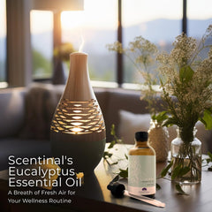 Urban Sombrero Scentinal peppermint oil diffusing scene for focus and refreshment