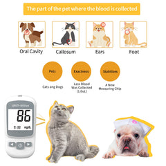 URIT 80Vet display shows fast readings for quick pet health checks.