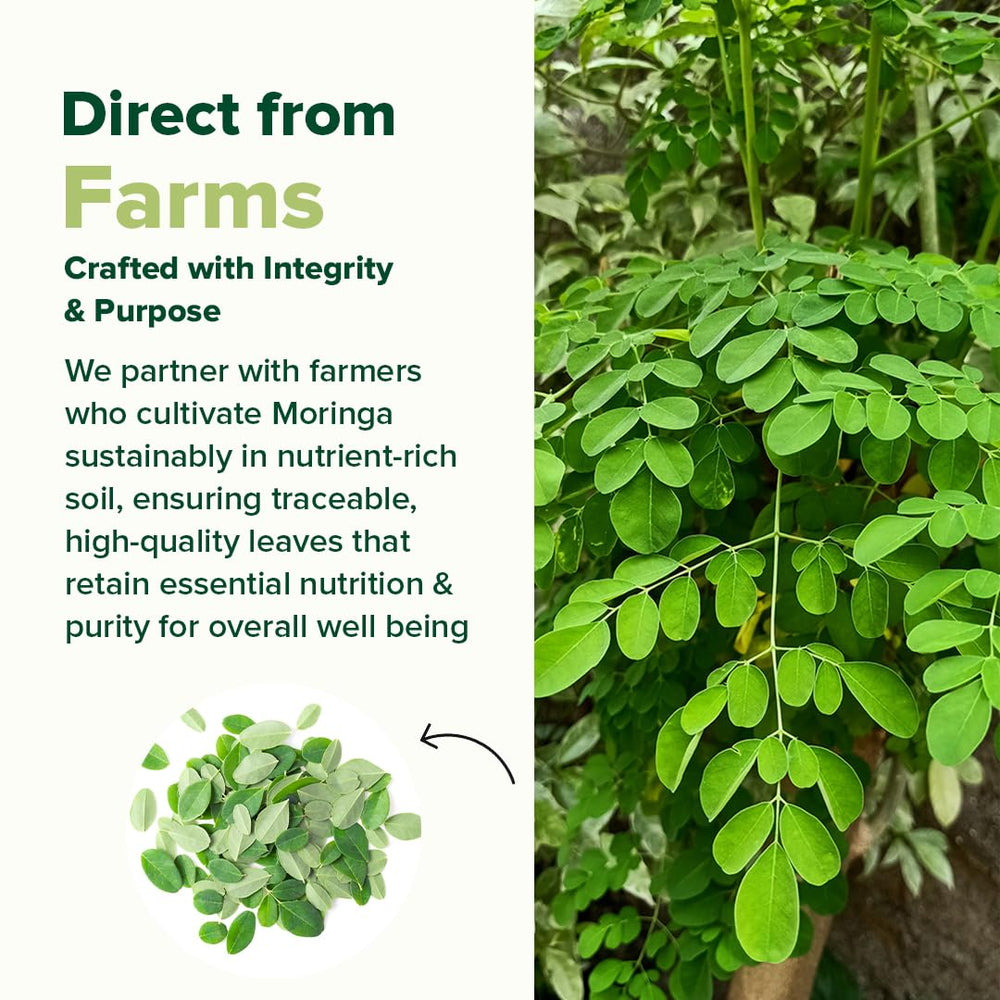 VAHDAM Moringa capsules with vegan, gluten-free, non-GMO indicators.