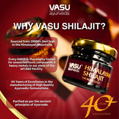 Bottle of VASU Shilajit resin suggesting energy and stamina benefits