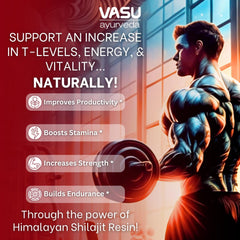 VASU Shilajit resin packaging emphasizing purity and lab-tested quality