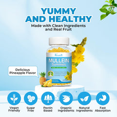 Vazatisi Mullein Leaf ingredients display natural lung-support blend.