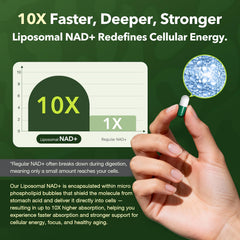 VCBIRD Turmeric capsules on packaging image suggesting balanced inflammation support