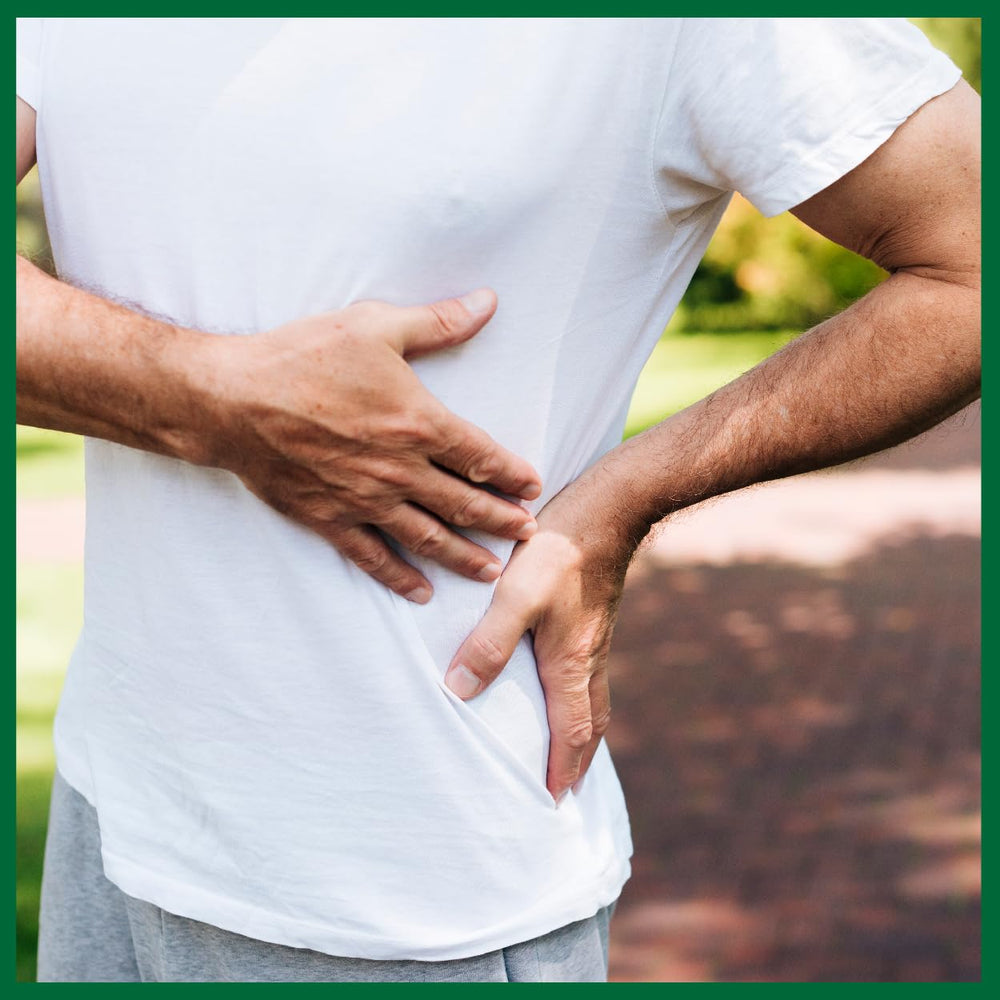 VEDIKROOTS Punarnavadi Guggulu tablet supporting kidney health